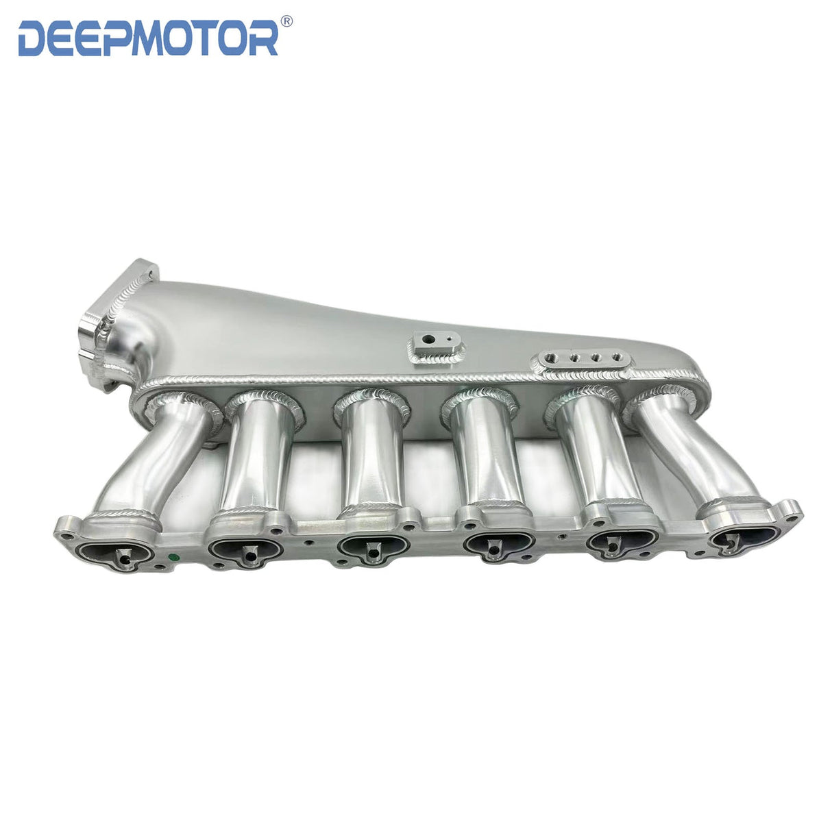 Deepmotor Intake Manifold Throttle Body Fuel Rail for Ford Falcon Barra XR6 G6E