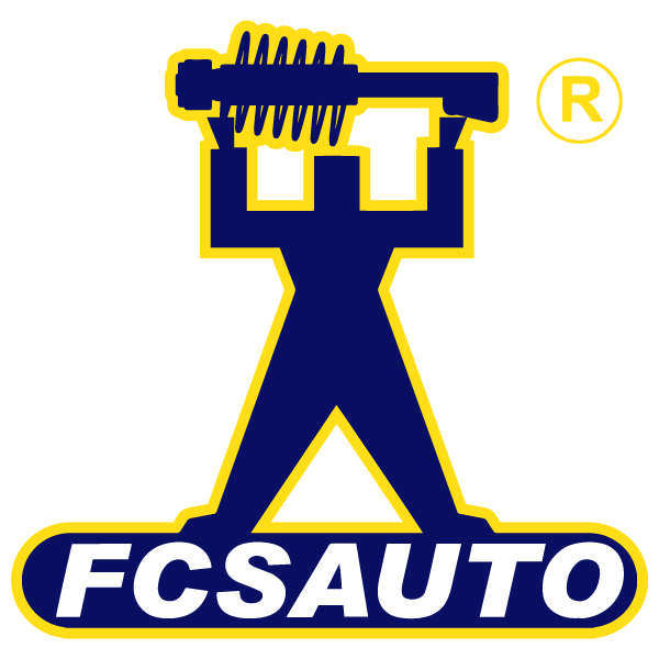 FCS® 300/Challenger/Charger 5.7L RWD Front Complete Strut Assembly