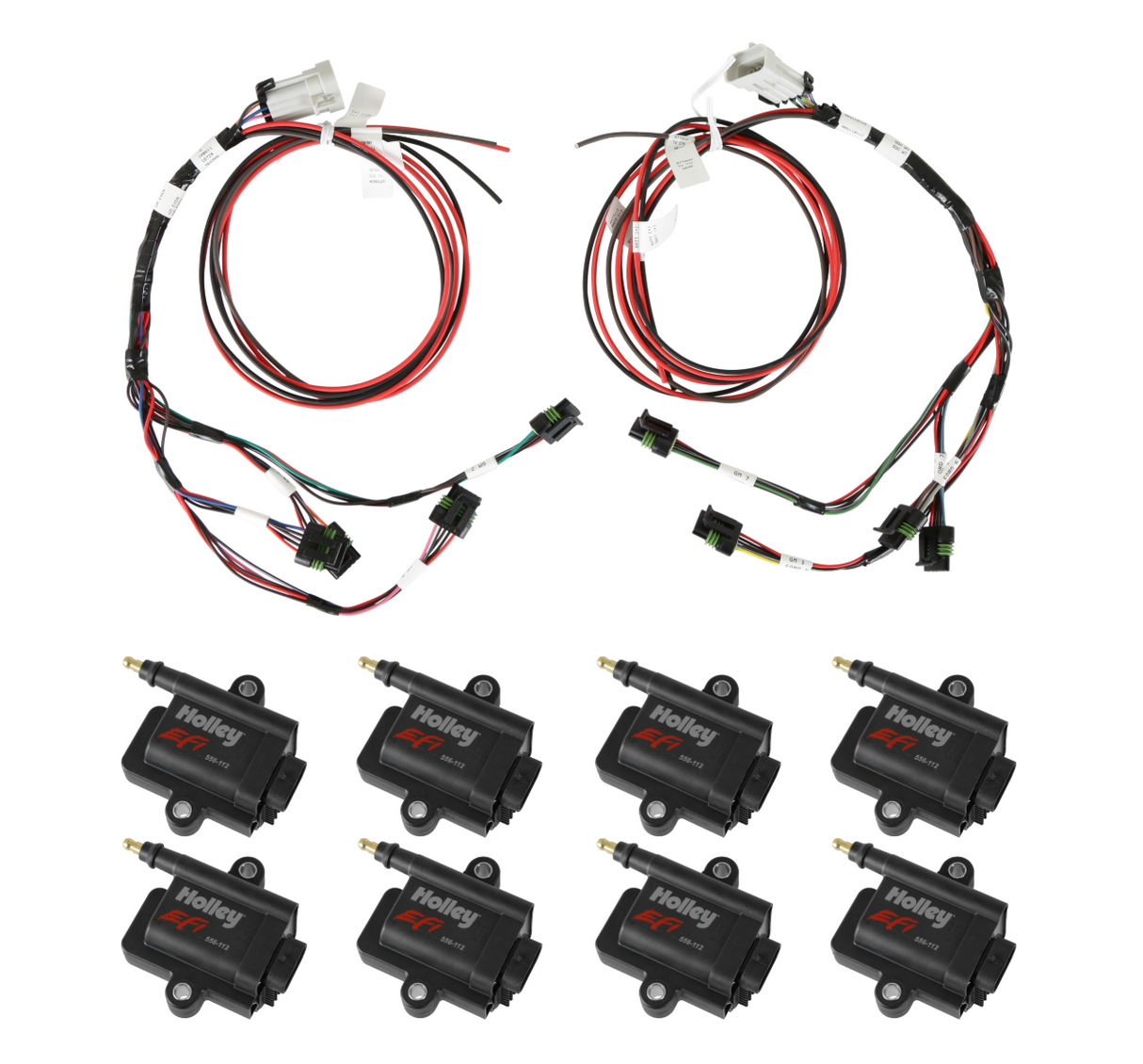 Holley® #VK080006 GM LS1/LS2/LS6 (24x/1x) Dominator EFI System