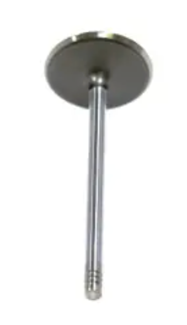Mopar® #53022087AD (09-26) Mopar 5.7L HEMI VVT/MDS Right Cylinder Head Intake Valve