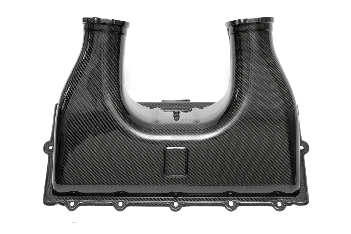 FabSpeed® (10-15) Ferrari 458 Italia Carbon Fiber Airbox Cover