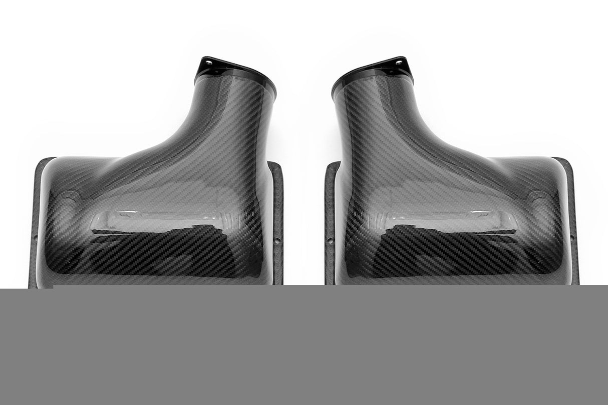 FabSpeed® (05-09) Ferrari F430 Carbon Fiber Airbox Covers