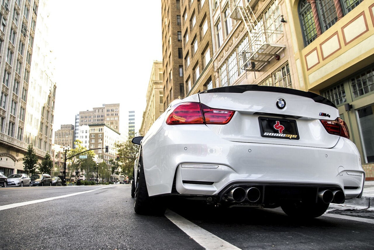 FabSpeed® (14-20) BMW M3/M4 (F80/F82/F83) Valvetronic Exhaust System