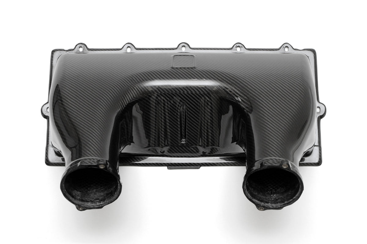 FabSpeed® (10-15) Ferrari 458 Italia Carbon Fiber Airbox Cover