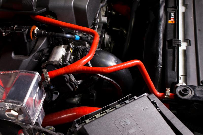 MISHIMOTO MMHOSE-CAM4-16