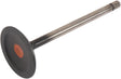 General Motors® 12662527 Engine Intake Valve