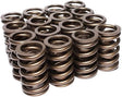 03-08 GEN III HEMI 5.7L Non-MDS Engine Intake/Exhaust Valve Spring