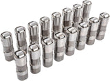 LS1/LS2/LS3/LS6/LS7 Hydraulic 'Caddy Race' Roller Lifters (NON-AFM)
