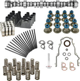 Kingman Speed® (99-07) GM LS1/LS6/LQ4/LQ9/L96/L76/L92/L99 Camshaft, Lifters, Springs, Oil Pump Kit