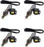 GEN III HEMI Upstream/Downstream Oxygen Sensors 68250166AA