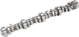 GM LS1/LS2/LS6/LM7/L59/LM4/LQ4/LQ9 V8 .585/.585 Roller Camshaft