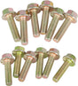 GM LS1/LS2/LS3/LS6/LQ4/LQ9/L96/L76/L92/L99 Zinc Header Bolts 12