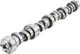 Camaro/Corvette/Silverado/Sierra LS1/LQ4/LQ9 OE Hydraulic Camshaft