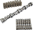 GM LS1/LS2/LS6/LM7/L59/LM4/LQ4/LQ9 Camshaft/Springs/Lifters Kit