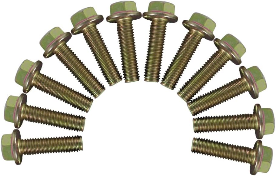 GM LS1/LS2/LS3/LS6/LQ4/LQ9/L96/L76/L92/L99 Zinc Header Bolts 12