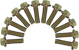 GM LS1/LS2/LS3/LS6/LQ4/LQ9/L96/L76/L92/L99 Zinc Header Bolts 12
