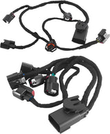 Kingman Speed® GM GEN V LT1/LT2/LT4/L83/L86/L87 Fuel Injection Rail Harness Set