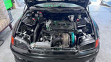 PLM® (92-95) Honda Civic EG Tubular Upper Radiator Support