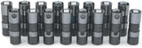 LS1/LS2/LS3/LS6/LS7 Hydraulic 'Caddy Race' Roller Lifters (NON-AFM)