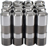 GM LS1/LS2/LS6/LM7/L59/LM4/LQ4/LQ9 Camshaft/Springs/Lifters Kit
