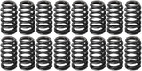 Kingman Speed® (99-07) GM LS1/LS6/LQ4/LQ9/L96/L76/L92/L99 Camshaft, Lifters, Springs, Oil Pump Kit