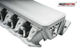 Deepmotor LS1 LS2 LS6 102mm Casting Bolted Intake Manifold with Fuel Rail Silver