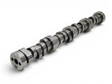 General Motors® (15+) ZL1/CTS/CT5/Z06 LT4 OEM Hydraulic Roller Camshaft
