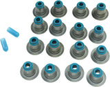 Kingman Speed® (99-07) GM LS1/LS6/LQ4/LQ9/L96/L76/L92/L99 Camshaft, Lifters, Springs, Oil Pump Kit