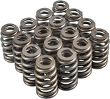 GM LS1/LS2/LS6/LM7/L59/LM4/LQ4/LQ9 Camshaft/Springs/Lifters Kit