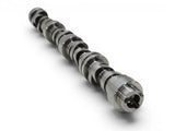 General Motors® (15+) ZL1/CTS/CT5/Z06 LT4 OEM Hydraulic Roller Camshaft