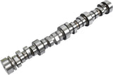 GM LS1/LS2/LS6/LM7/L59/LM4/LQ4/LQ9 Camshaft/Springs/Lifters Kit