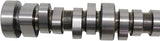 Camaro/Corvette/Silverado/Sierra LT1/L86 Hydraulic Roller Camshaft