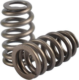 GM LS1/LS2/LS6/LM7/L59/LM4/LQ4/LQ9 Camshaft/Springs/Lifters Kit