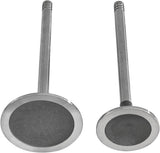 GEN III HEMI SRT 6.2L/6.4L Engine Intake/Exhaust Valves (5038331AB)