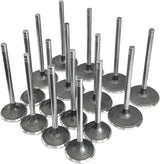GEN III HEMI SRT 6.2L/6.4L Engine Intake/Exhaust Valves (5038331AB)