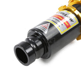 Dynamic Pro Sport Coilovers - Acura Integra 1994-2001 (DC2)
