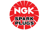 NGK LZTR6AP11EG GEN III HEMI 6.4L Double Platinum OE Spark Plugs
