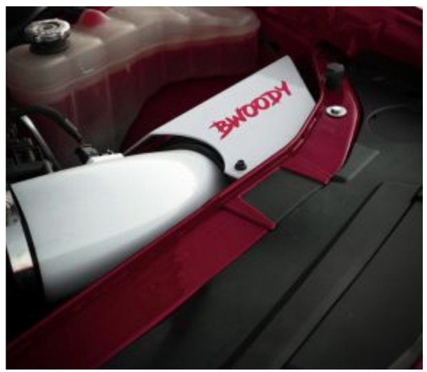 BWoody Performance® (15-16) SRT Hellcat 5" Velocity Plus Cold Air Intake System