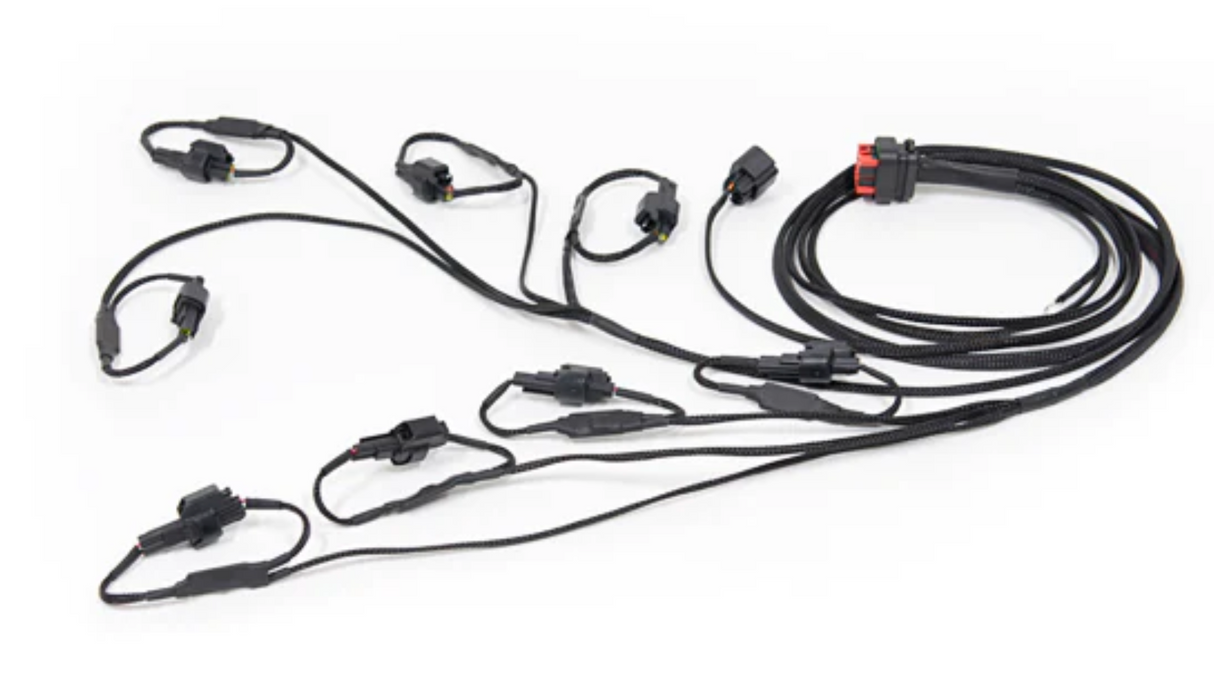 Advanced Fuel Dynamics® GM LSX Swap E85 ProFlex Commander