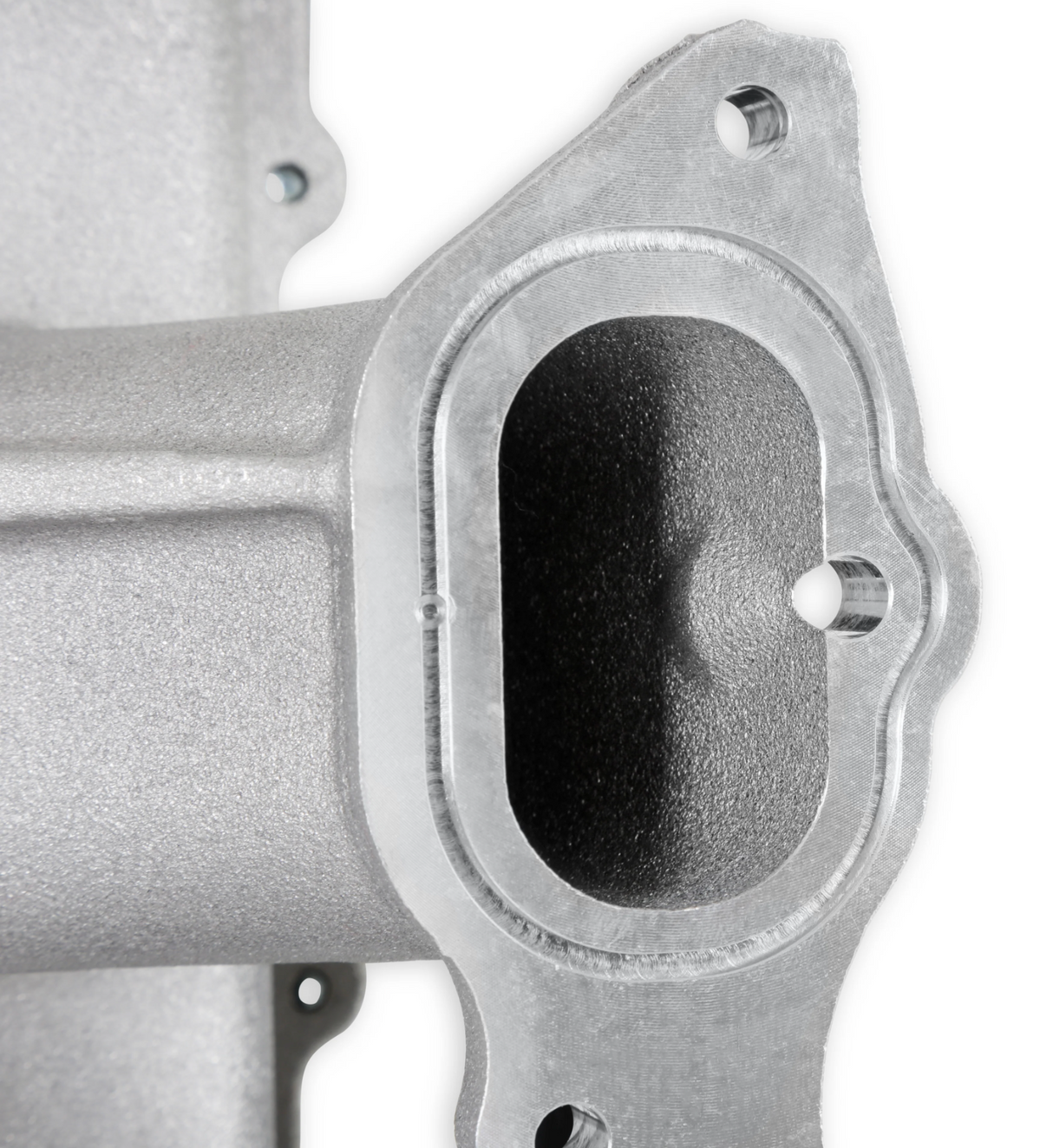 Holley® #300-910 Ford Mustang GT/GT350/GT500 Lo-Ram Intake Manifold