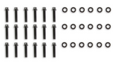 Holley® #300-621BK GM LS1/LS2/LS6 Lo-Ram EFI Balck Intake Manifold with Fuel Rails