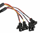 Holley® #VK080006 GM LS1/LS2/LS6 (24x/1x) Dominator EFI System