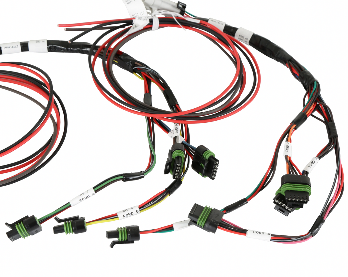 Holley® #VK080006 GM LS1/LS2/LS6 (24x/1x) Dominator EFI System