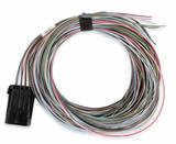 Holley® #VK080006 GM LS1/LS2/LS6 (24x/1x) Dominator EFI System
