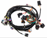 Holley® #VK080006 GM LS1/LS2/LS6 (24x/1x) Dominator EFI System