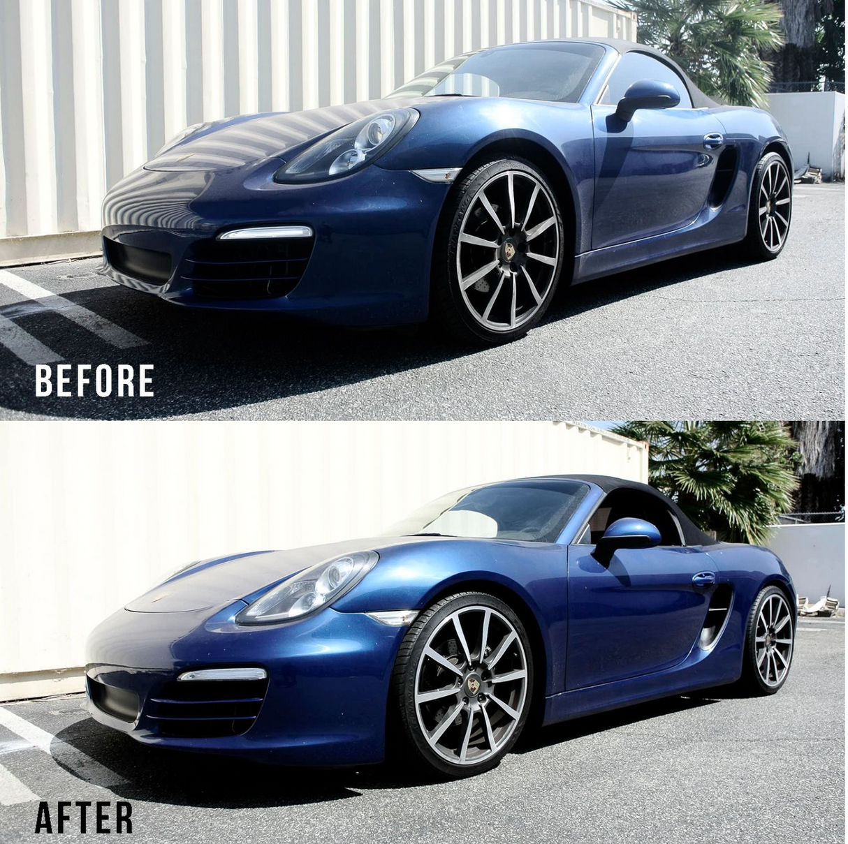 Megan Racing® (12-16) Porsche Boxster/Cayman 981 Euro II Series Coilovers