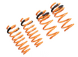 Megan Racing® (17-25) Tesla Model 3 RWD Lowering Springs