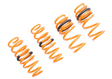 Megan Racing® (17-25) Tesla Model 3 AWD Lowering Springs