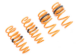 Megan Racing® (17-25) Tesla Model 3 AWD Lowering Springs