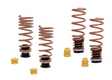 Megan Racing® (20+) BMW M8 F92/F93 Pro-S Adjustable Lowering Spring System